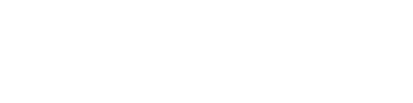 VNV Logo